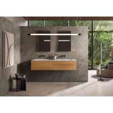 Lapidispa Insa integrated | Vanity