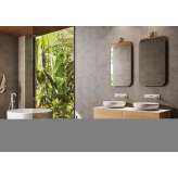 Lapidispa Insa | Vanity