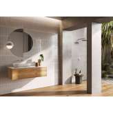 Lapidispa Insa | Vanity