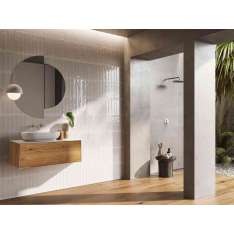 Lapidispa Insa | Vanity