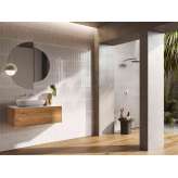 Lapidispa Insa | Vanity