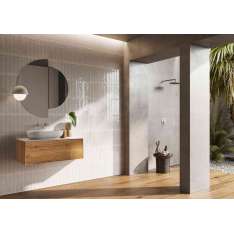 Lapidispa Insa | Vanity