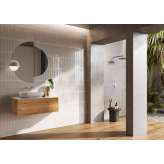 Lapidispa Insa | Vanity