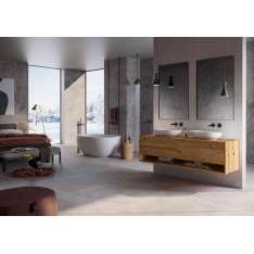 Lapidispa Genero | Vanity