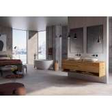Lapidispa Genero | Vanity