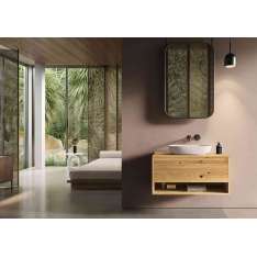 Lapidispa Genero | Vanity