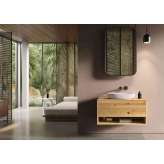 Lapidispa Genero | Vanity