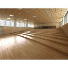 Lamm Raised Platforms and fixed tribunes