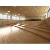 Lamm Raised Platforms and fixed tribunes