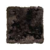 kymo SG Airy Premium coffee bean