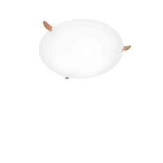 Konsthantverk Ögla Big oak