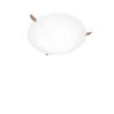 Konsthantverk Ögla Big oak