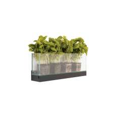 Karl Andersson & Söner Front Plant