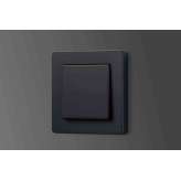 Jung A Flow | switch matt graphite black