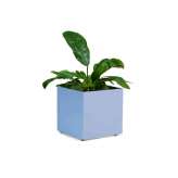 Johanson Design Eden Ø50