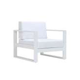 JANUS et Cie MATISSE CLUB CHAIR