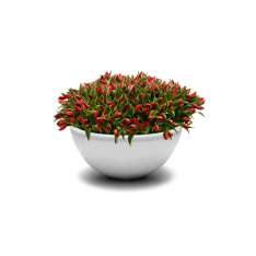 Jangir Maddadi Design Bureau Union Bench Flowerpot