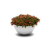 Jangir Maddadi Design Bureau Union Bench Flowerpot