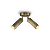 J. Adams & Co. Spot | Double Ceiling Light - Antique Brass