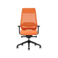 Interstuhl JOYCEis3 JC212