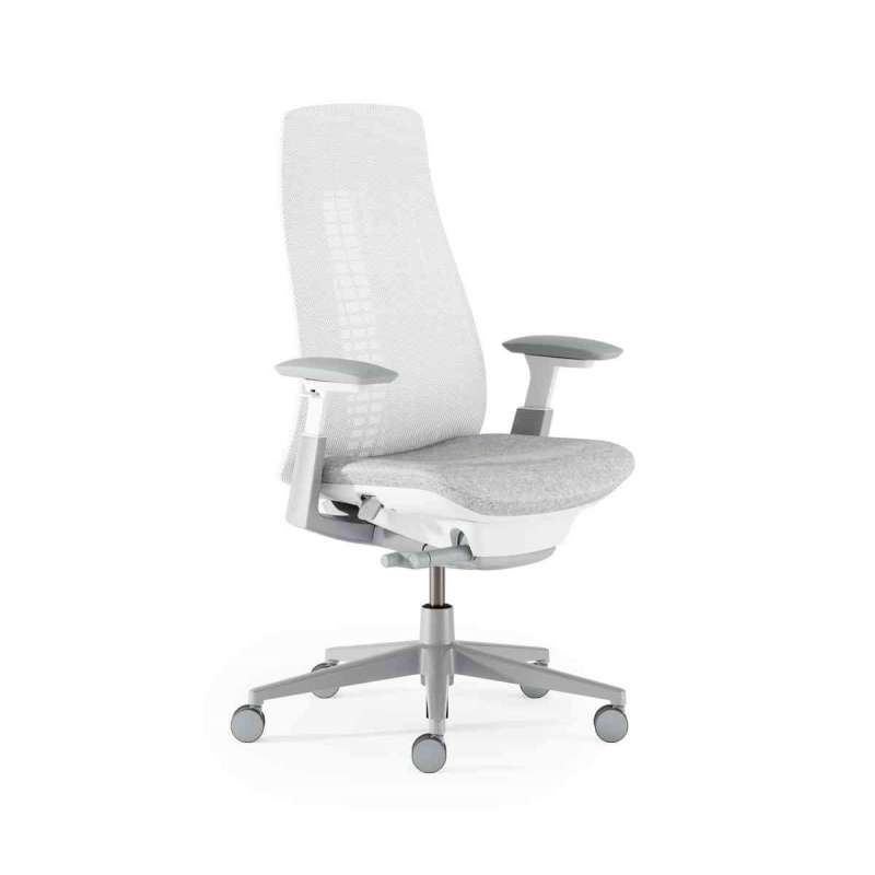 FERN Krzesła biurowe firmy Haworth Maximus Design