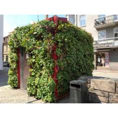 Greenworks Outdoor Vertical Garden | Public Toilet Helsingborg