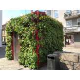 Greenworks Outdoor Vertical Garden | Public Toilet Helsingborg