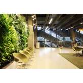 Greenworks Indoor Vertical Garden | Tele 2 Arena Vip Lounge Area