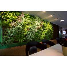 Greenworks Indoor Vertical Garden | Preem Head office
