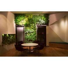 Greenworks Indoor Vertical Garden | IHM Business School