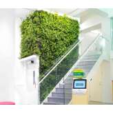 Greenworks Indoor Plant Walls
