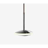 Graypants Dish 6v pendant steel