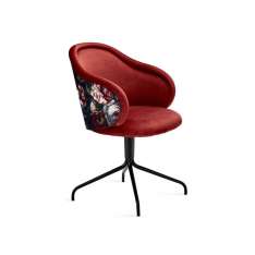 Freifrau MANUFAKTUR Ona | Curved Armchair with trestle leg