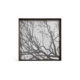 Ethnicraft Classic tray collection | White Tree wooden tray - square - L