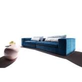 Erba Italia David