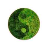 Ekomoss Round Moss Pictures | Yin Yang Moss Picture With Ball Moss And Provence Moss