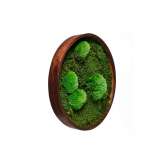 Ekomoss Round Moss Pictures | Moss Picture With Ball Moss And Flat Moss 50 cm