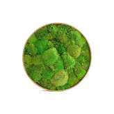 Ekomoss Round Moss Pictures | Moss Picture With Ball Moss 90 cm