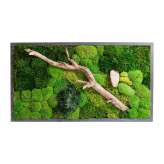 Ekomoss Rectangular Moss Picture | Plant Picture With Mix Moss, Preserved Plants And Wood Bark 120X60cm