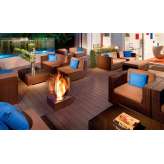 EcoSmart Fire Mini T