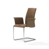 Draenert Luma | 206-I