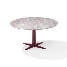 Draenert Lauro | 1530