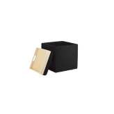 Design Within Reach Nexus Storage Cube in Leather
