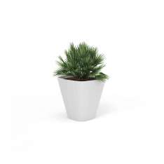 Derlot Kono, Planter