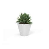 Derlot Kono, Planter