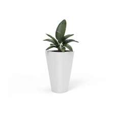 Derlot Kono, Planter