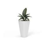 Derlot Kono, Planter