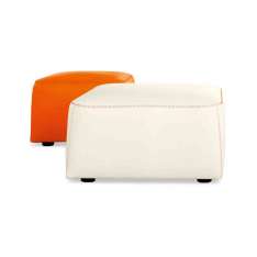 Dauphin Home Pallone