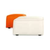 Dauphin Home Pallone