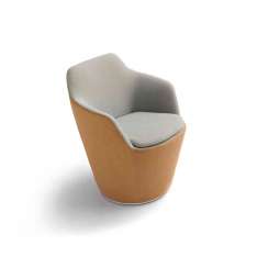 COR Flint easy chair